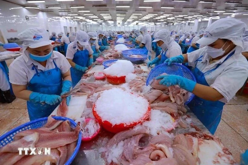 Transformation de produits aquatiques pour exportation. Photo : VNA. 