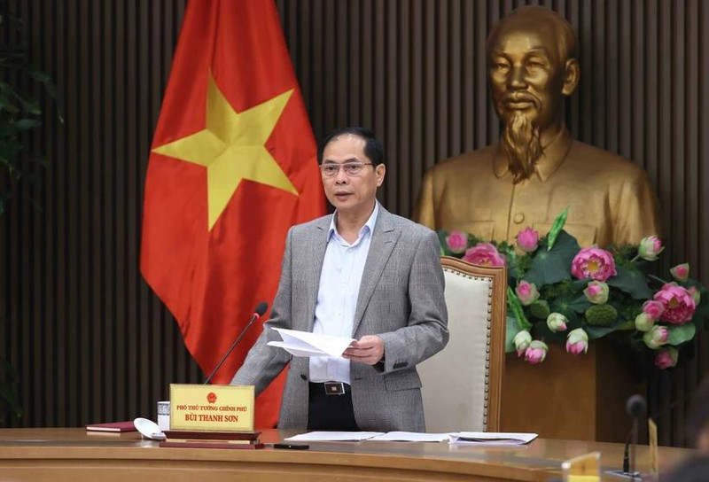 Le vice-Premier ministre Bui Thanh Son, ministre des Affaires étrangères lors de la réunion. Photo : VNA 