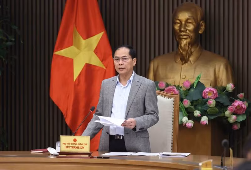 Le vice-Premier ministre Bui Thanh Son, ministre des Affaires étrangères lors de la réunion. Photo : VNA 
