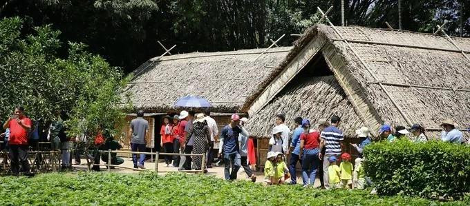 De nombreuses personnes se rendent au village de Sen à l’occasion du 135e anniversaire de la naissance de l'Oncle Ho. Photo : sggp.org.vn 