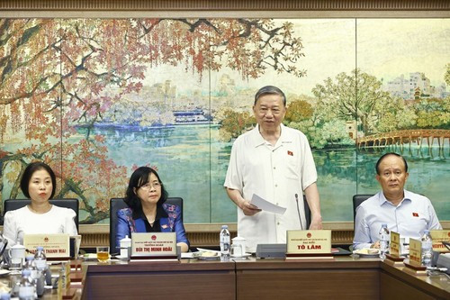 Le secrétaire général du Parti, To Lâm (debout), député de Hanoï, lors des discussions en groupes parlementaires, le 17 mai 2025. Photo : VNA. 
