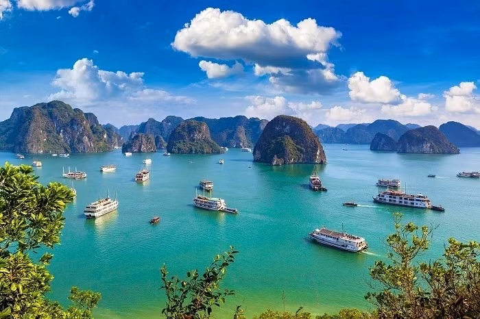 La baie d'Ha Long est une destination incontournable pour les touristes internationaux. Photo : Canva. 