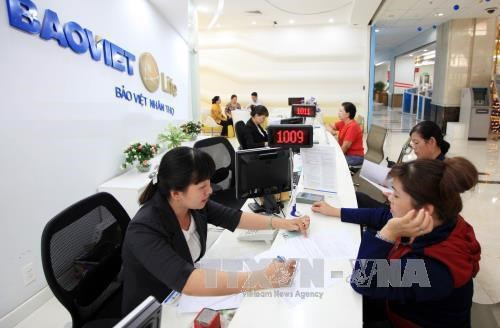 Le marché d'assurance s'oriente vers le développement durable et intégral. Photo: VNA