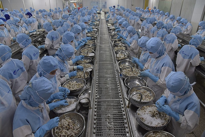 Le Vietnam est le plus grand fournisseur de crevettes pour la République de Corée. Photo : congthuong.com.vn