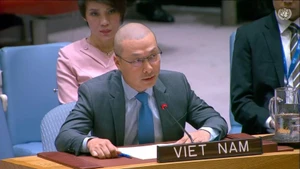 Le ministre-conseiller Nguyen Hoang Nguyen, représentant permanent adjoint du Vietnam auprès des Nations Unies. Photo : VNA.