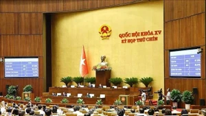L’Assemblée nationale avance sur les réformes constitutionnelles lors de sa 9e session