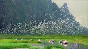 Le tourisme ornithologique est bien plus qu’une simple activité de loisirs : il permet de découvrir la faune locale tout en contribuant à la préservation de la nature.