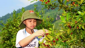 Le tourisme communautaire à Khanh Hoa exploite le potentiel des forêts et des vergers