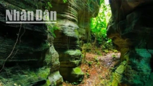 Hang Doi Tien An : la beauté mystérieuse de la création