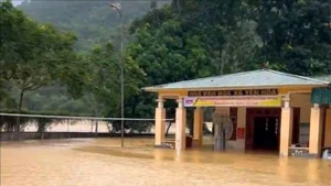 Inondations dans la province de Nghê An. Photo: VNA