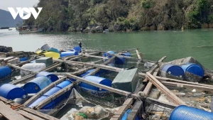 Aquaculture adaptée aux catastrophes naturelles
