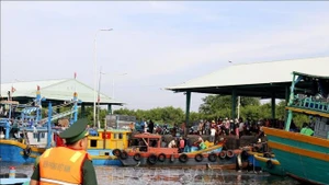 Contrôle de bateaux de pêche au port de Phu Hai, quartier de Phu Thuy, province de Lam Dong. Photo : Nguyên Thanh/VNA