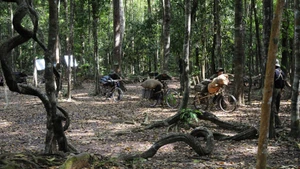 Image du film “Ký ức Nam Xuân” qui sera projeté lors du festival.