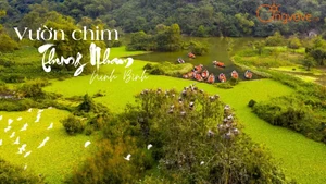 Thung Nham – Le royaume des oiseaux au cœur du site de Trang An