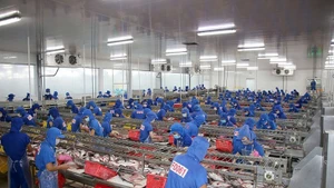 Les exportations de produits de la mer enregistrent une reprise vigoureuse, avec une hausse de plus de 10 %. Photo : Revue de la Pêche.