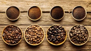 Le Vietnam exporte plus de 5 milliards de dollars de café au premier semestre