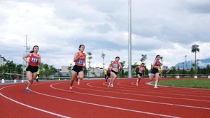 Le développement du sport professionnel repose sur l’amélioration du statut socio-économique des entraîneurs et des athlètes. Photo : VNA/CVN