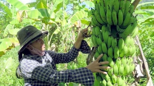 Photo : Agence vietnamienne d''Information.