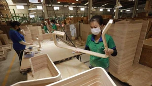 La transparence de l'origine du bois constitue également une exigence clé pour que le Vietnam puisse obtenir la licence FLEGT. Photo: VNA.