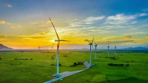 Ce secteur des énergies renouvelables, en pleine expansion, attire de plus en plus l’attention des investisseurs locaux et internationaux. Photo : baotainguyenmoitruong.vn