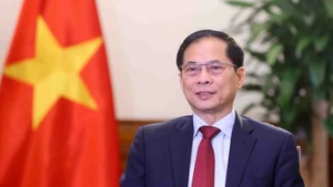 Le vice-Premier ministre et ministre des Affaires étrangères Bui Thanh Son. Photo : VNA.
