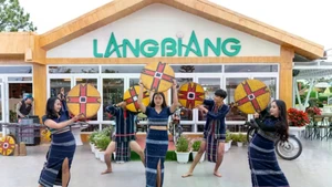 Lam Dong : Langbiang fait vibrer son héritage - les gongs au cœur du tourisme culturel