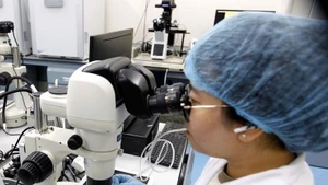 Le gouvernement a promulgué, le 19 septembre 2025, le décret n°249/2025/ND-CP relatif aux mécanismes et politiques visant à attirer des experts dans les domaines de la science, de la technologie, de l’innovation et de la transformation numérique. Photo : VNA