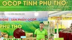 Phu Tho : quand l'OCOP rime avec le tourisme local