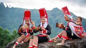 Les Dao de Binh Lieu : une touche de rouge au milieu de la saison dorée