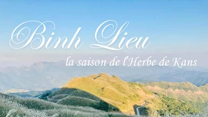 Binh Lieu, la saison de l’Herbe de Kans
