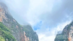 L’immensité du vert éclatant de Nho Que