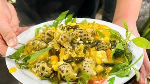 Un plat d'escargots sont présentés de façon attrayante, attirant les convives. Photo : dantri.com.vn