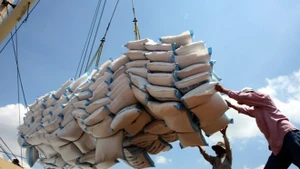 Le Ghana devient le premier marché d'exportation de riz du Vietnam en septembre