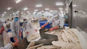 Le marché du Moyen-Orient privilégie fortement les pangasius vietnamiens répondant aux normes halal. Photo : VNA.