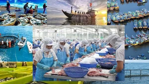  L'industrie de la pêche du Vietnam vise les 10 milliards de dollars en 2025.