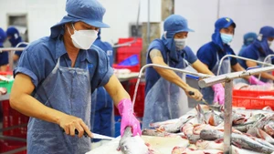 Le RCEP insuffle un « nouvel élan » aux exportations de pangasius du Vietnam