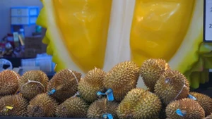 Le Vietnam exporte pour la première fois des durians surgelés vers la Chine