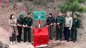 Cérémonie d'inauguration du modèle informations liées à la frontière, version numérique. Photo: Duy Thái/VOV