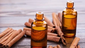 Le secteur de la cannelle au Vietnam : un atout économique majeur