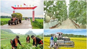 Hanoi met en œuvre le Programme cible national de réduction durable de la pauvreté pour la période 2022-2025 