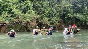 L'empreinte « d'acier » des soldats qui protègent la forêt de Pu Mat au cœur de la jungle