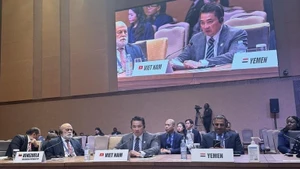 L'ambassadeur Pham Hai Anh, chef du Département des organisations internationales du ministère des Affaires étrangères, s'exprime lors de la réunion. Photo: VNA