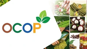 OCOP Vietnam: Un Chemin Vers la Valorisation Locale