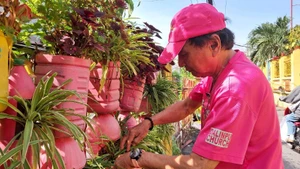 Chaque jour, dès 3 heures du matin, M. Phan Văn Chanh commence à arroser et à prendre soin de sa rangée de plantes vertes Photo : Thuy Duong.