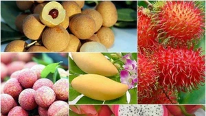 Booster la consommation et l’exportation de produits agricoles