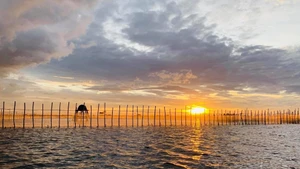 Tam Giang, une lagune à la beauté merveilleuse, la plus grande d'Asie du Sud-Est