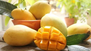 Les mangues vietnamiennes franchissent le seuil du marché américain