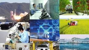 Les sciences, les technologies et la transformation numérique en fort développement