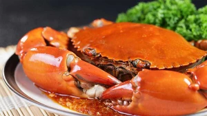 Ca Mau vise à devenir le plus grand centre d’élevage de crabes du delta du Mékong et du pays