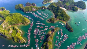 Cat Ba dévoile sa nouvelle offre touristique pour l'été 2025